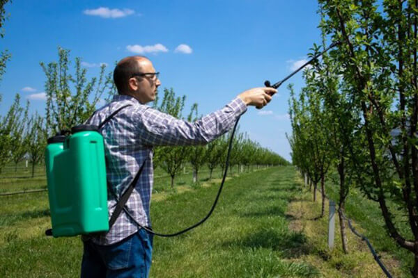 Pesticidas Pesticidas